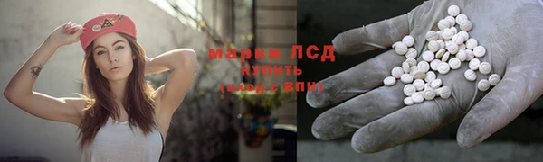 амф Болотное